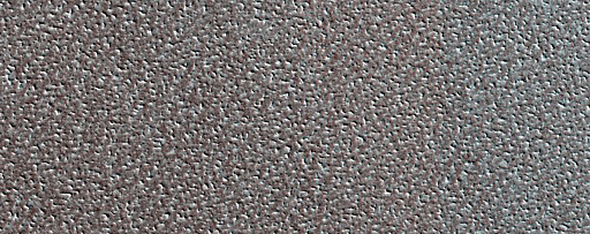 Terrain Sample