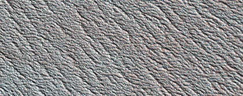 Terrain Sample