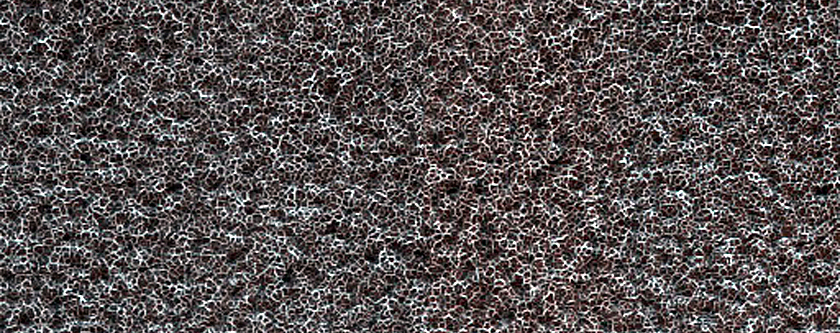 Terrain Sample