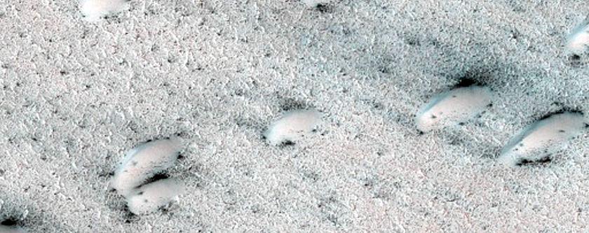 Seasonal Defrosting of West Olympia Region Polar Aeolian-Ice Landforms