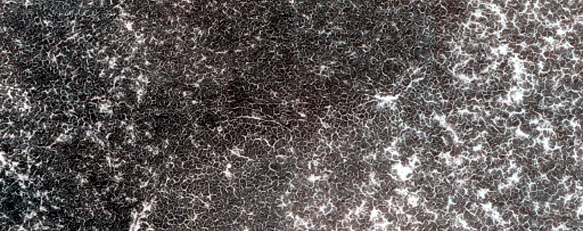 Terrain Sample