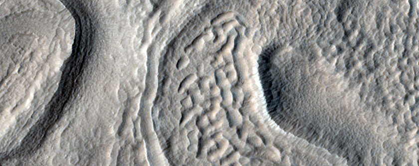 Irregular Cellular Structures around Crater in Terra Sabaea