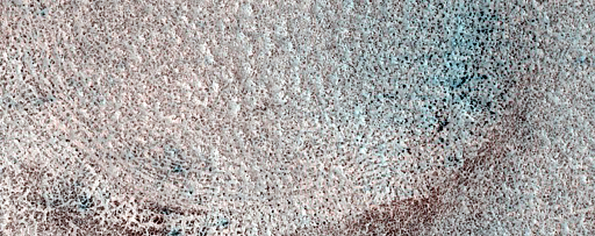 Terrain Sample