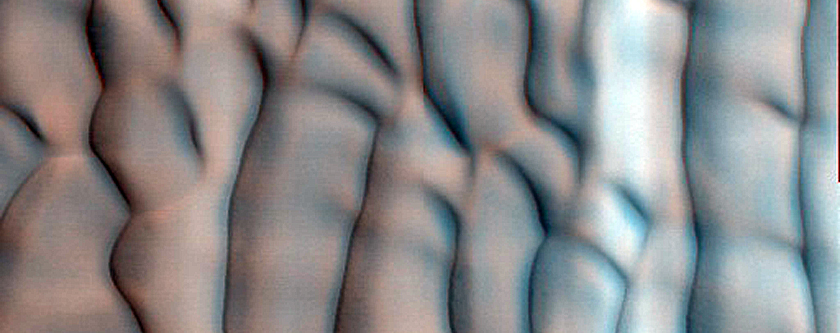 Dune Monitoring in Lomonosov Crater
