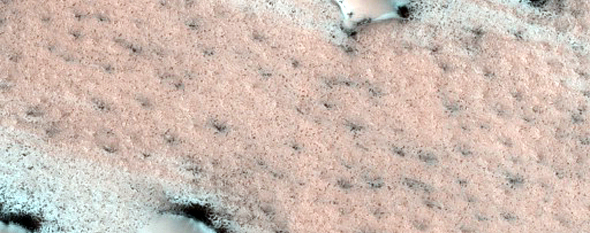 Terrain Sample