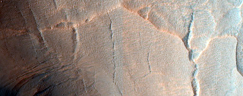 Gully Monitoring