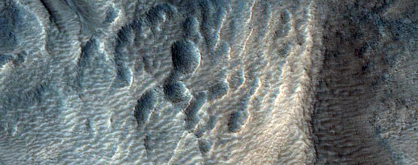 Gully Monitoring