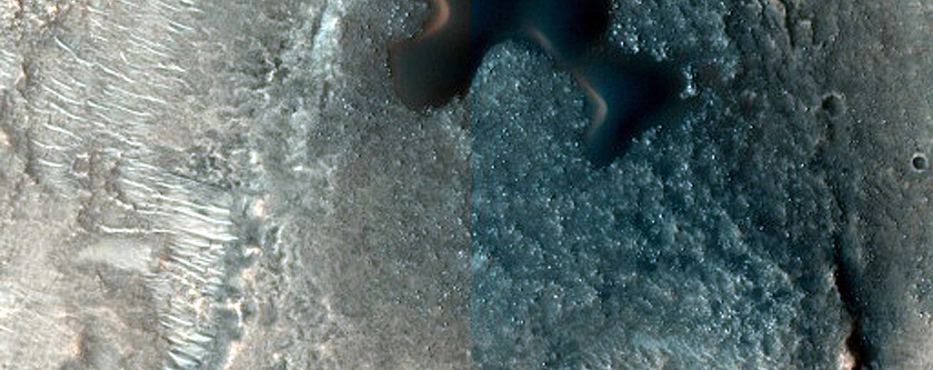 Dune Monitoring in Sytinskaya Crater