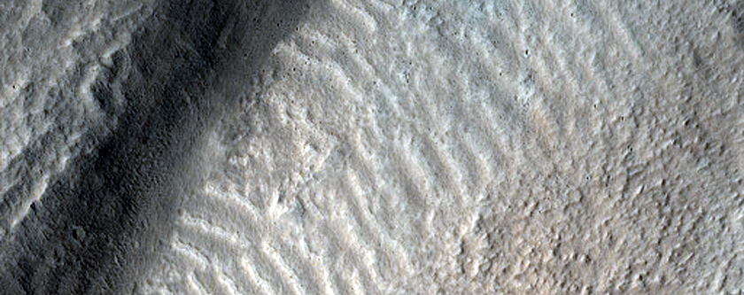 Fresh Impact Crater in Tempe Terra