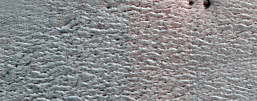 Terrain Sample