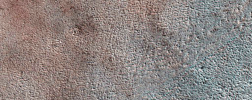 Terrain Sample