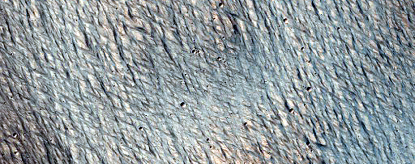 Terrain Sample