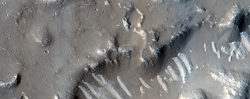 Terrain Sample