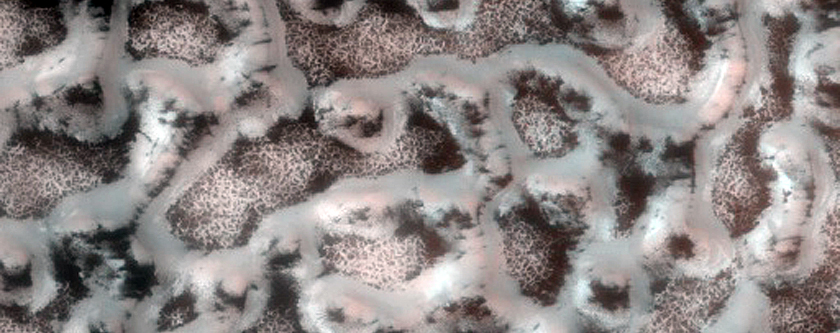 Dunes with Furrows