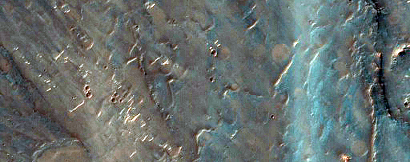 Fan in Southern Low-Latitudes