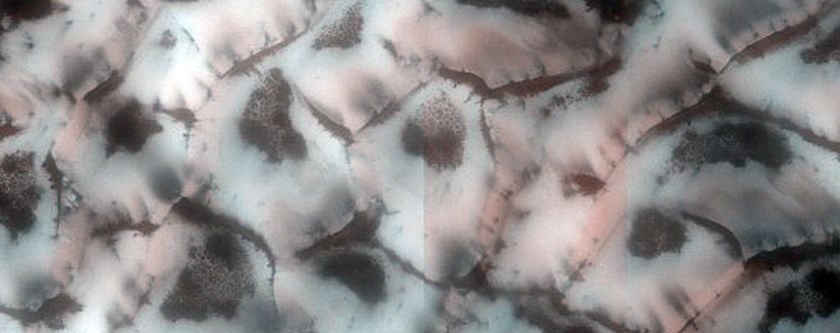 Terrain Sample