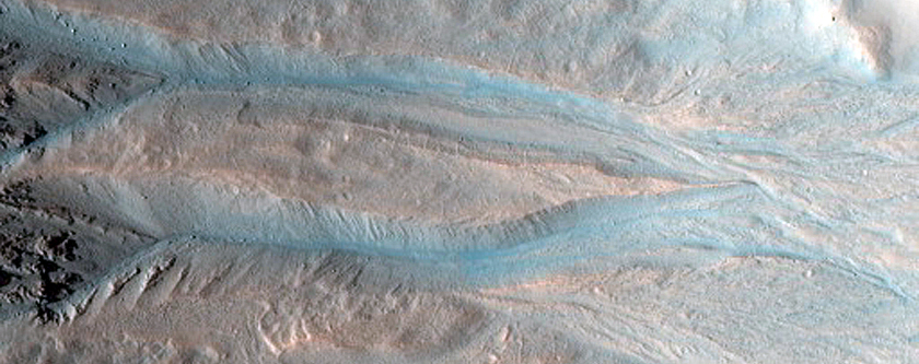 Gully Monitoring