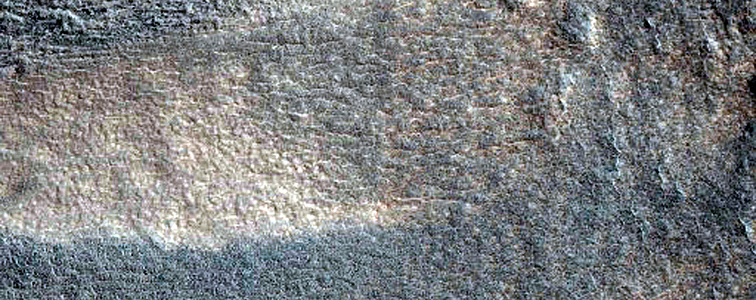 Gully Monitoring
