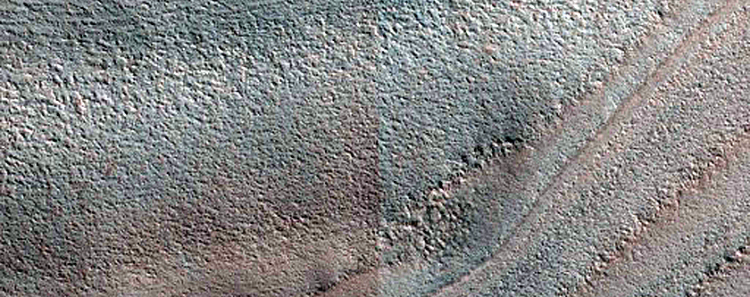 Terrain Sample