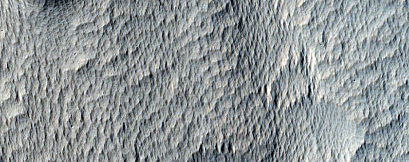 Small Channel on Floor of Large Valley in Mangala Valles