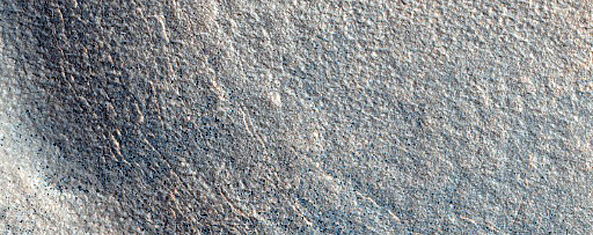 Terrain Sample