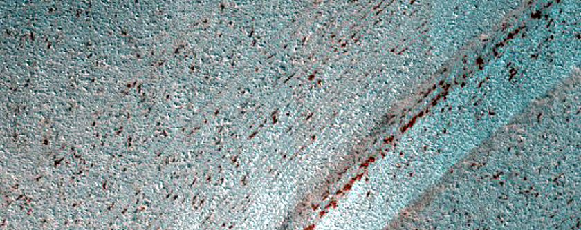 Terrain Sample