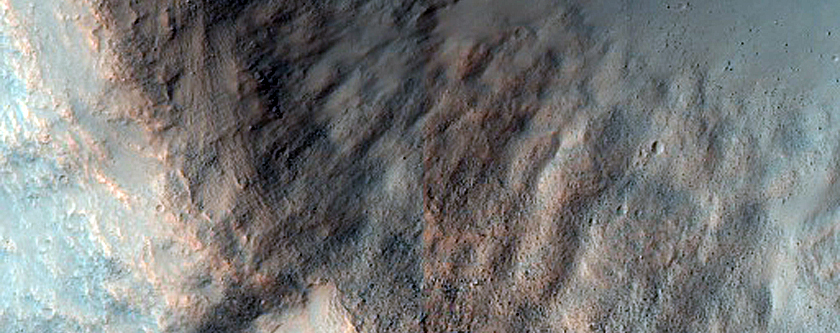 Impact Crater in Syrtis Major Planum