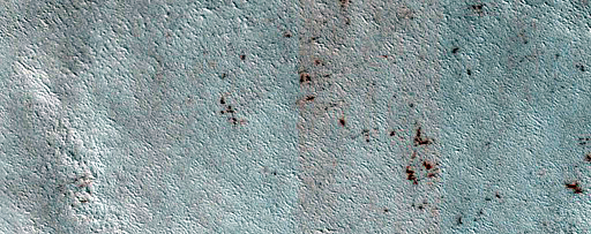 Terrain Sample