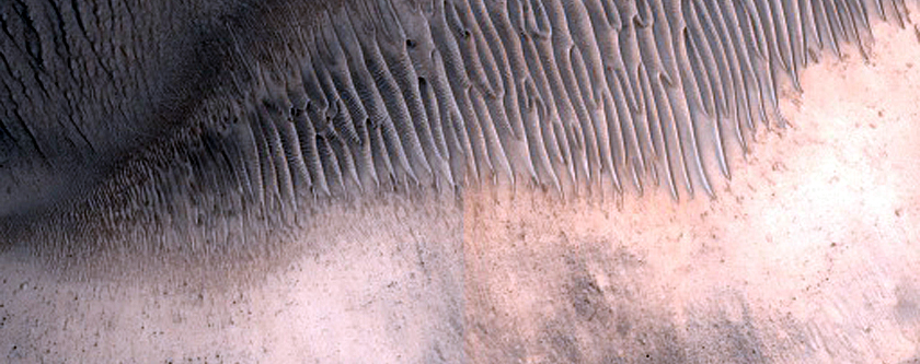 Arabia Terra