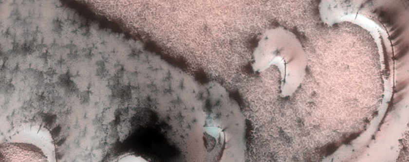 Terrain Sample