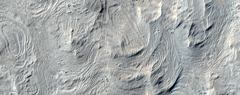 Planar Layering in Lucus Planum