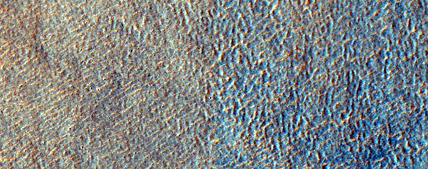 Terrain Sample