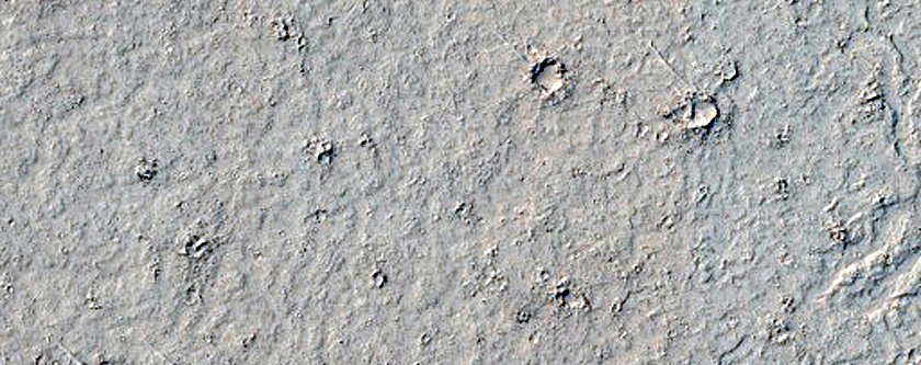 Flow Contact in Elysium Planitia