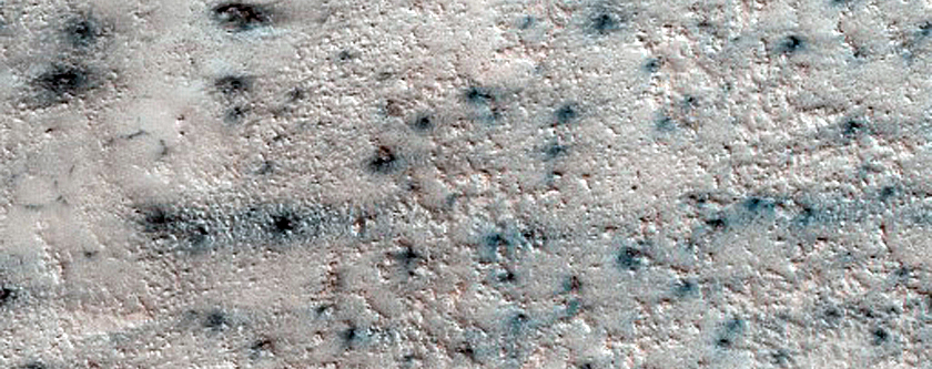 Terrain Sample