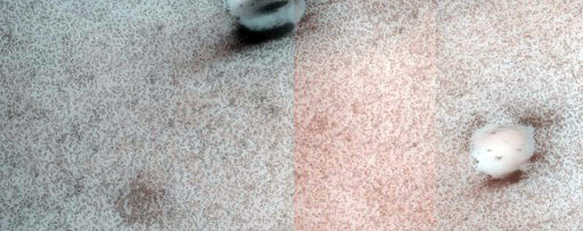 Terrain Sample