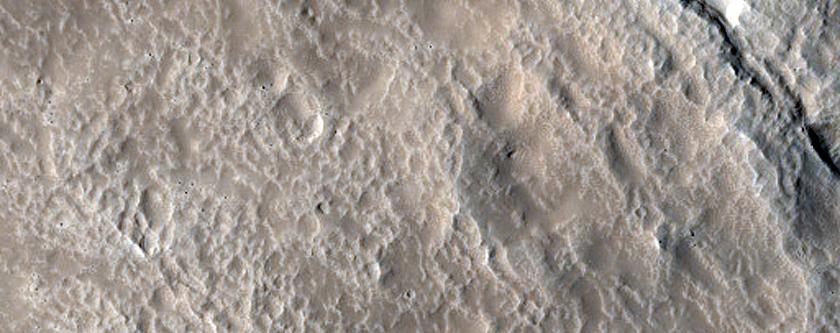 Irregular Cellular Structures around Crater in Terra Sabaea