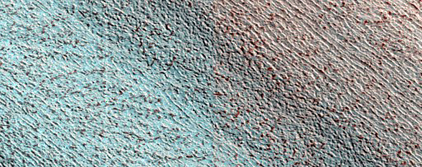 Terrain Sample