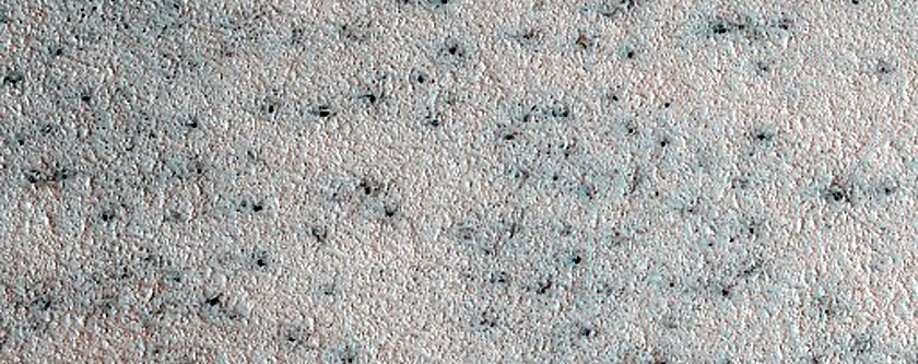 Terrain Sample