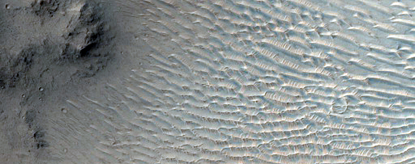 West Rim of Small Crater Within Stege Crater