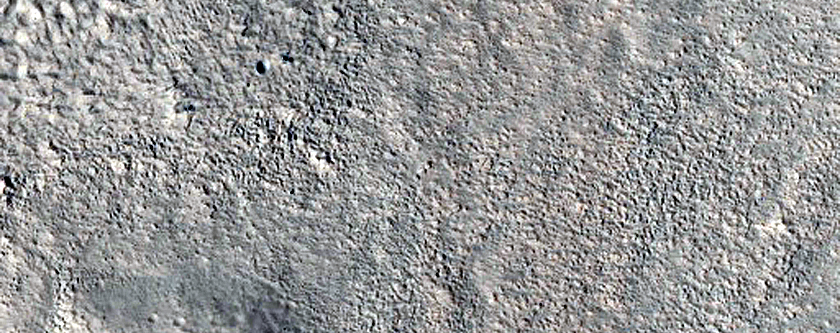 Possible Gully in Wall of Trough in Mareotis Fossae