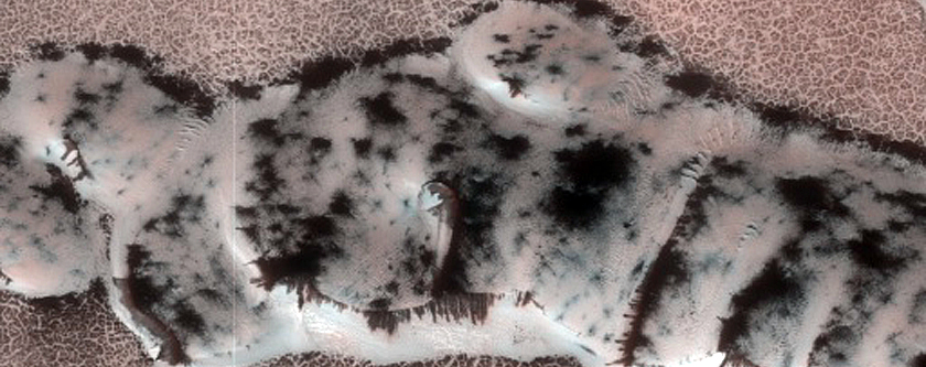 Terrain Sample