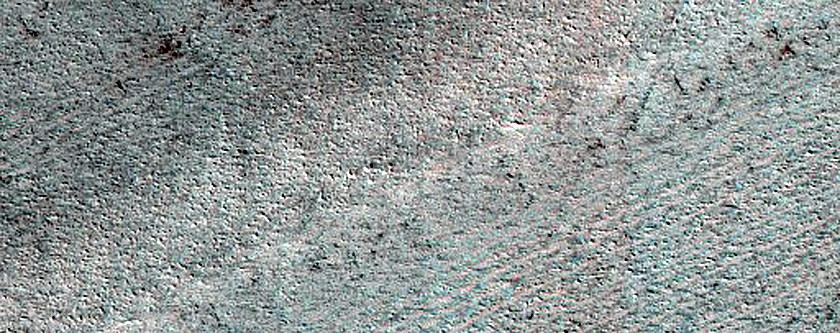 Terrain Sample