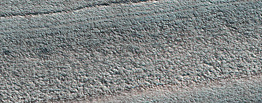 Terrain Sample