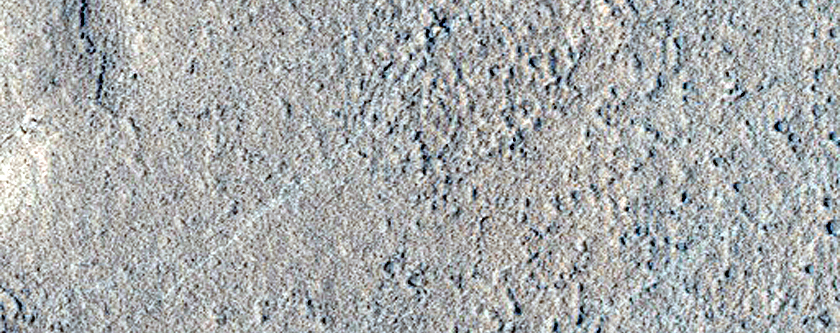Terrain Sample