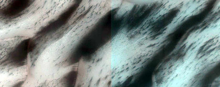 Terrain Sample