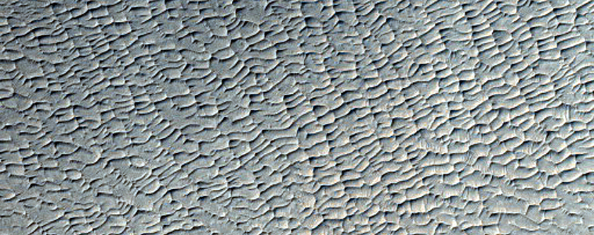 Terrain Sample