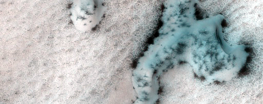 Terrain Sample