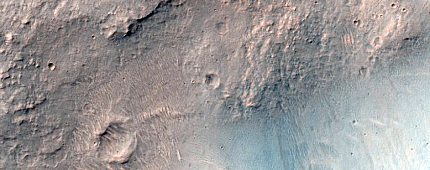 Terrain Sample