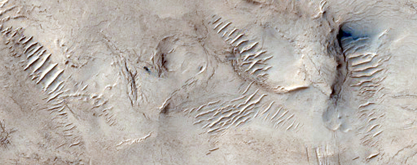 Light-Toned Material near Cracks on Northern Mid-Latitude Crater Floor