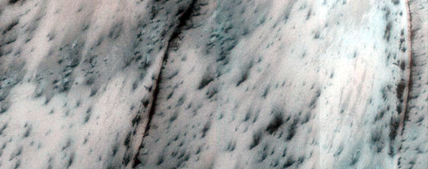 Terrain Sample